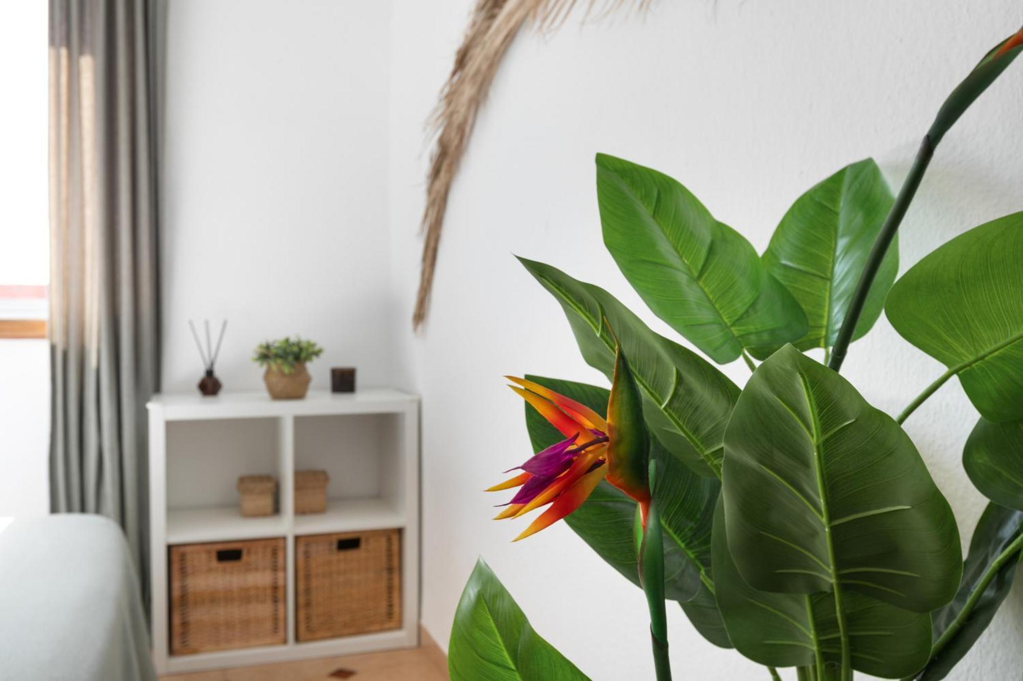 Apartament Casa Camacho La Cuesta  Zewnętrze zdjęcie